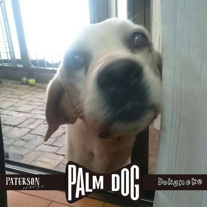 59580215 4641 48c5 8b5e 3988fdf6f293