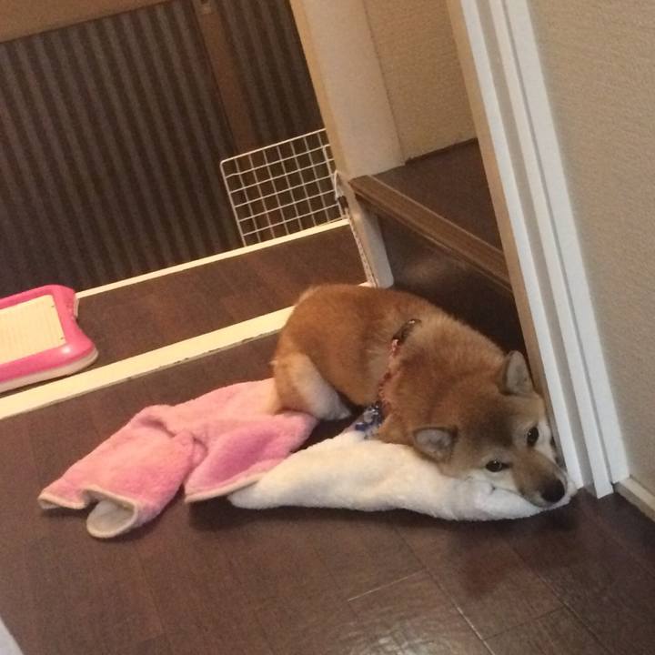 59588fa2 d181 4428 bfb4 a8118840aafb