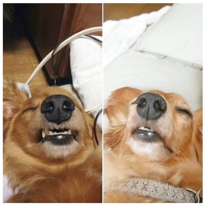 59596617 9a21 46b4 84c3 d97458fe1901