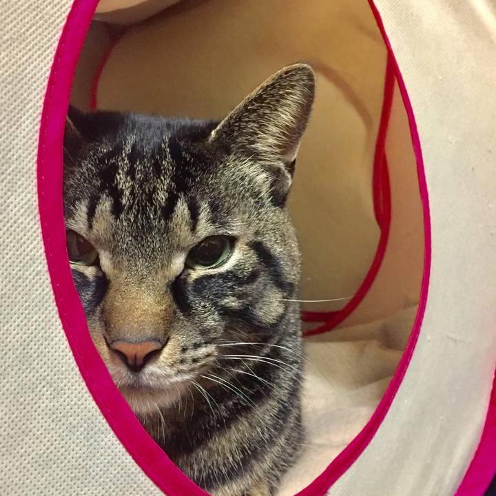 5959e5fe 3ae1 42cb b32e 3d012466cdfa