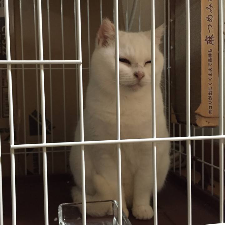 595aa7da 90f1 407e 9be2 5baabb709a90