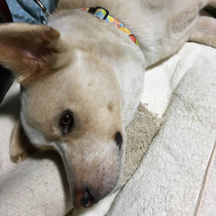 595ae3cc 1106 4b46 a773 4accc1480a58