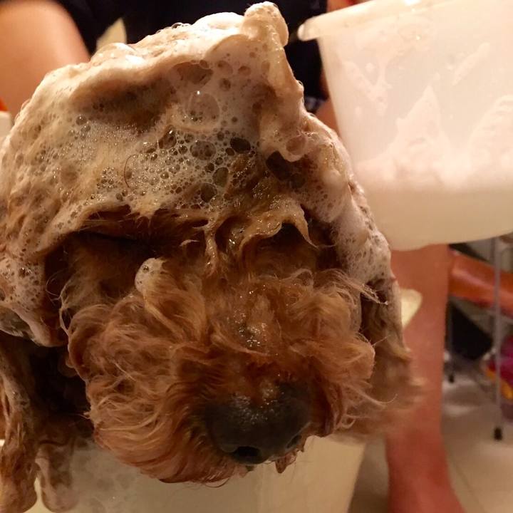 595b4e14 2b42 42b8 bf1d 5ce1795bc59a