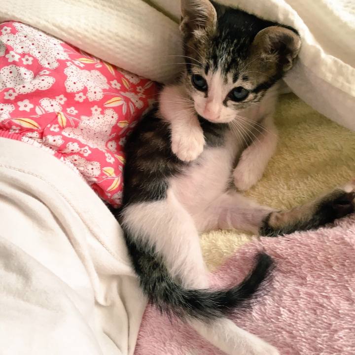 595c2aa1 2935 4c42 b60d d5ba3159fea5