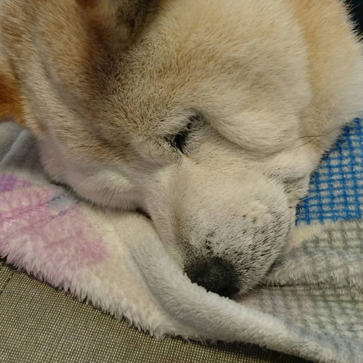 595d03d2 de28 4e06 aeb5 8f32a6d148ef