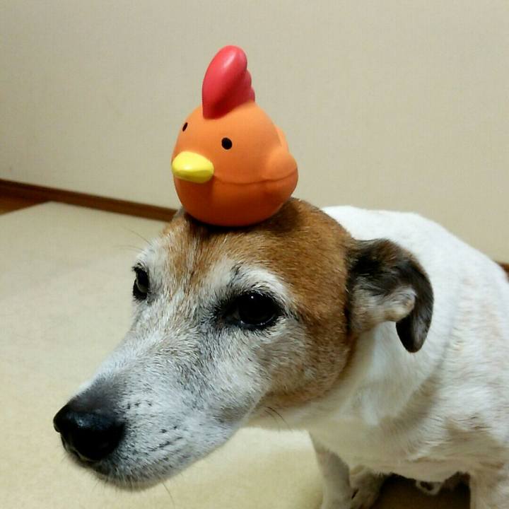 595d19c4 40d3 451d 91d0 be6e08cb6c24