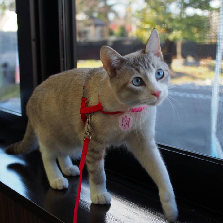 595d2fa5 2cfc 487b 8c5c d3f105c79baa