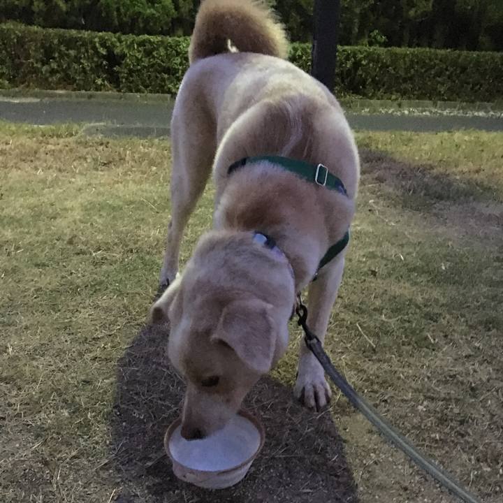 595dfc59 ba75 4708 a5f1 5c16e51b3249