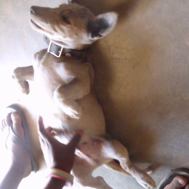 595e283f 2659 4aa2 b0f5 e0eeb23e6f34