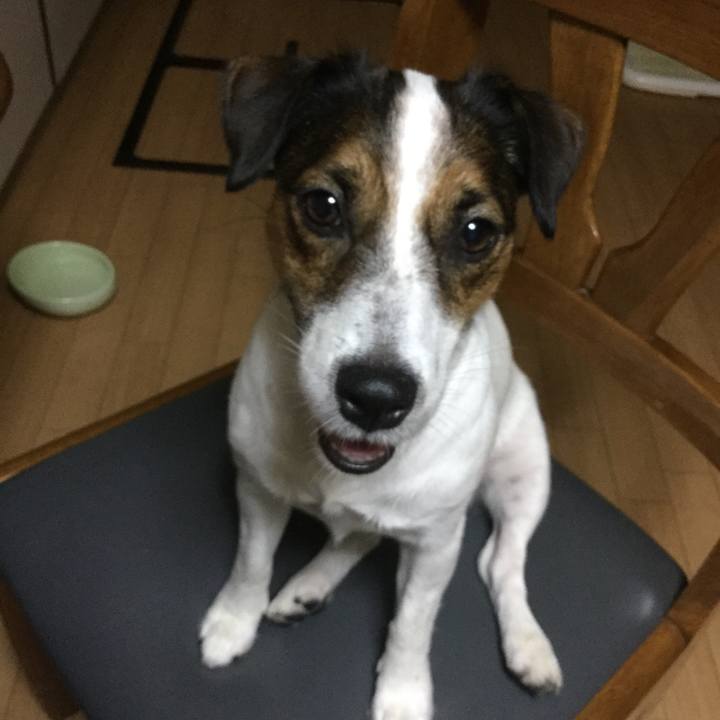 595e6bed 191a 4a05 8626 cab3d50da5fe