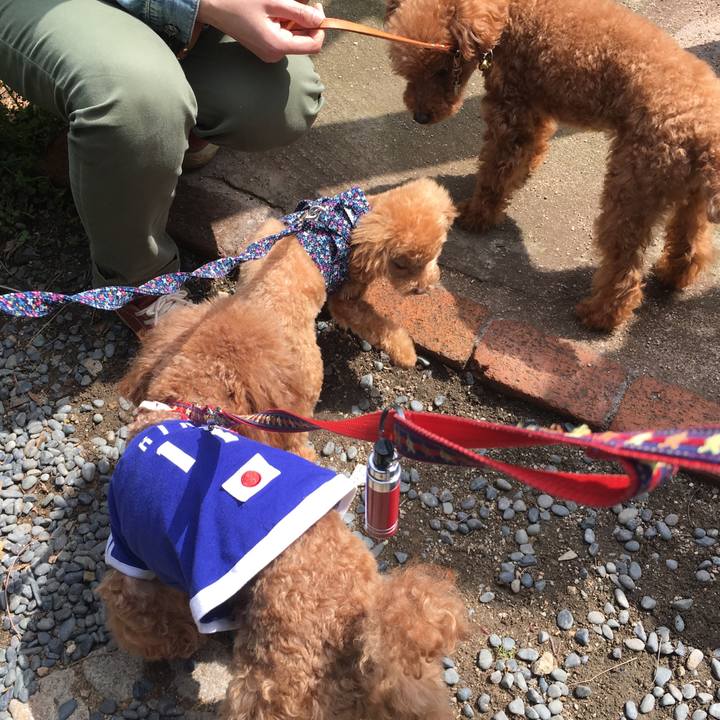 595e8404 1932 40b9 8d3d 17b299f8b22b