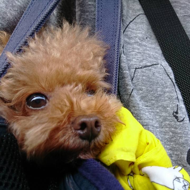 595edf89 7add 4eac bef6 4b9e74ebf9fd