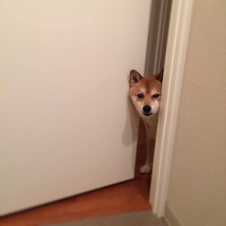 595fa5e1 a014 4fe5 af99 20a8c0ea51fc