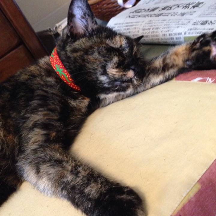 595fb0e1 15e6 4b20 9013 2bb5ba617884