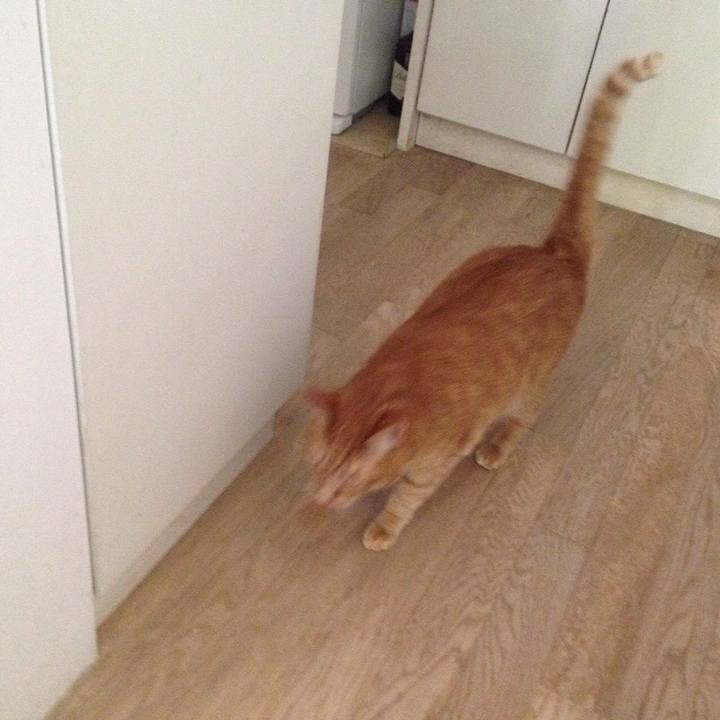 595fca17 ddd2 4a8f bef9 82dbc96936ff