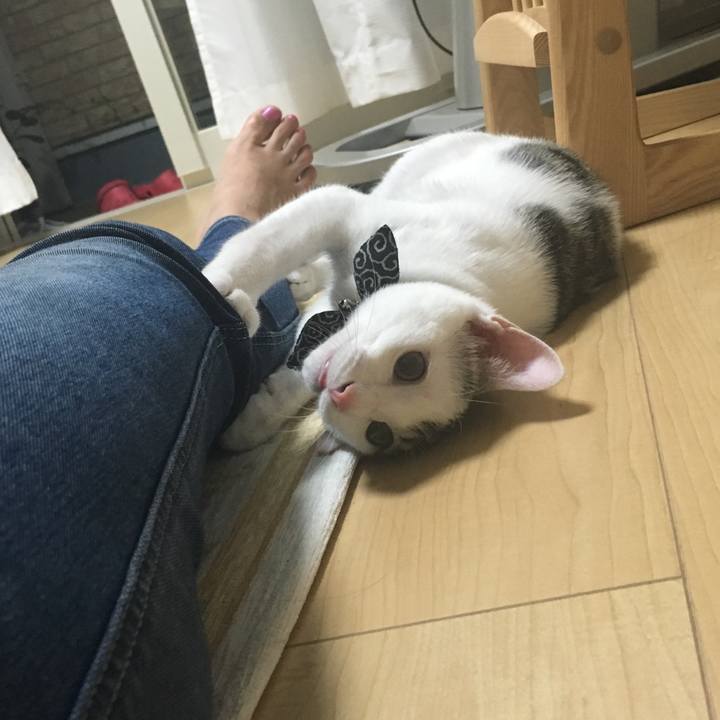 59601a6b 4909 474a abd3 382e32ba737e