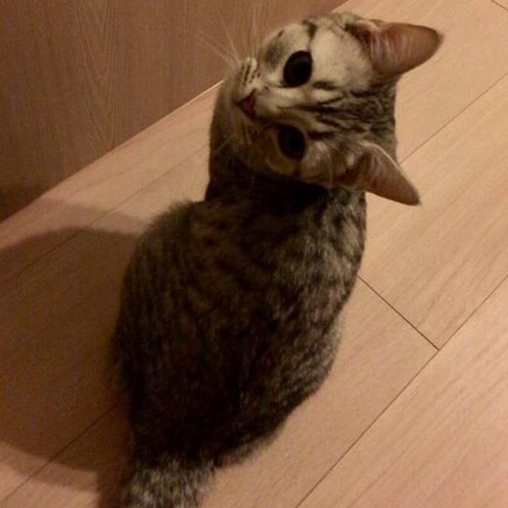 59607326 2b17 434d 9a03 310fdbf4d094