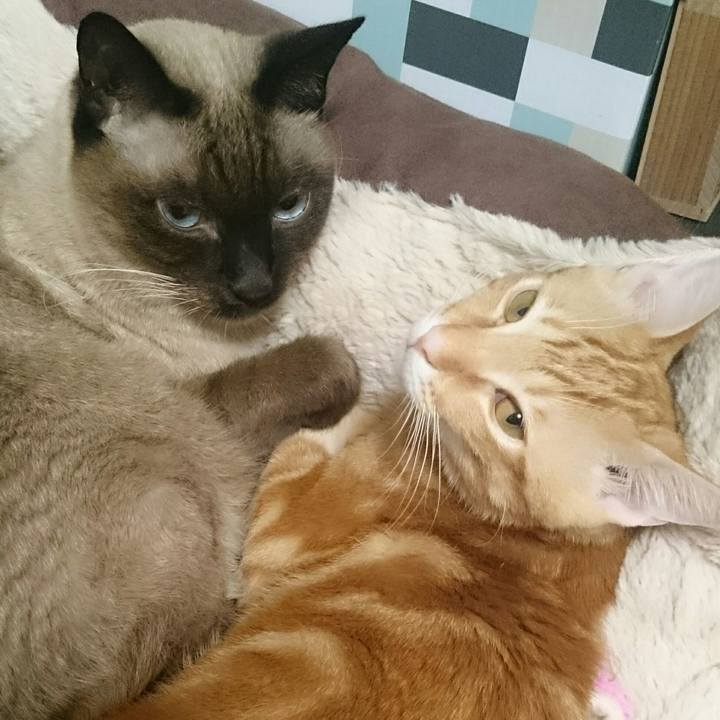 59609468 4ce2 4070 8736 00b46558a844