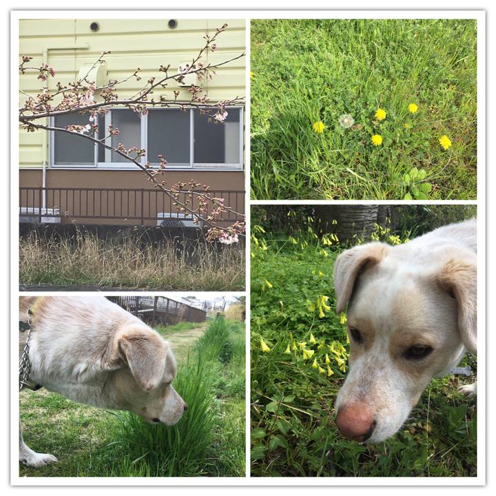 59609f56 1f0d 47cc ad61 35d3fd7773bf