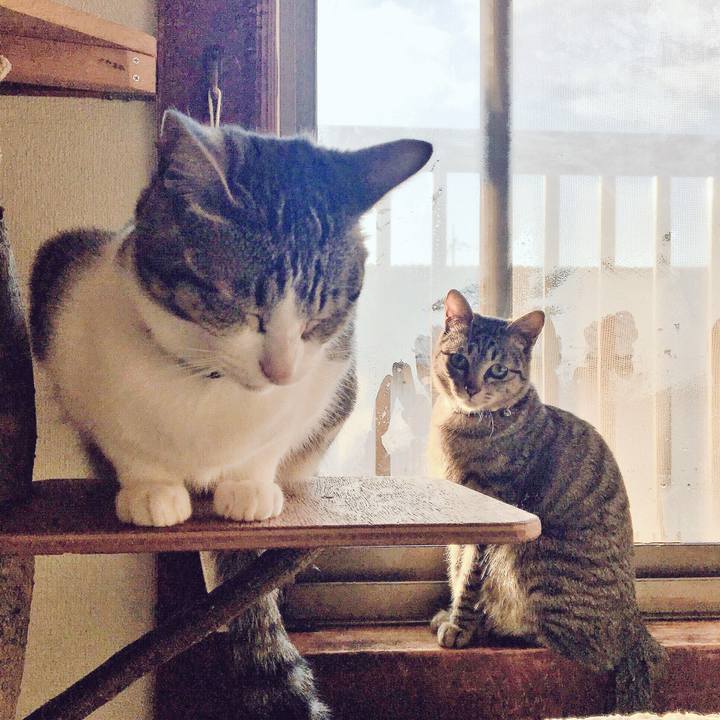 5960aa4b 8594 45d3 9e32 f717a17a7266