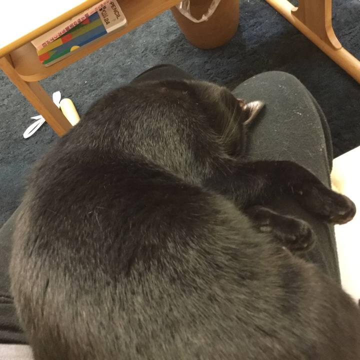 5960ccc0 ea35 4212 997a 5d5c895b43a7