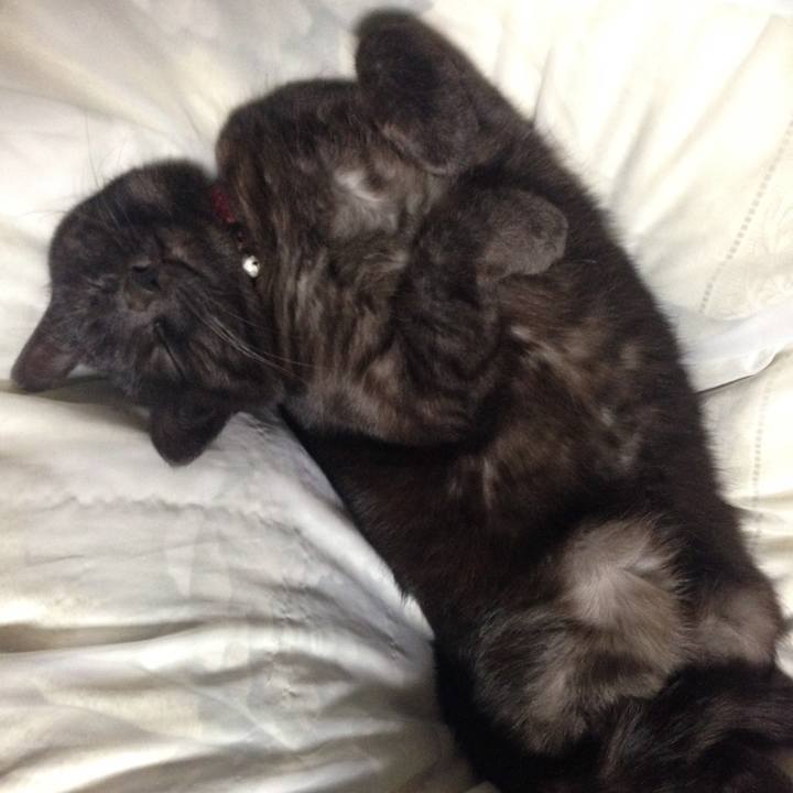 5960de19 d4c9 4014 9422 a9fcbb43ad23