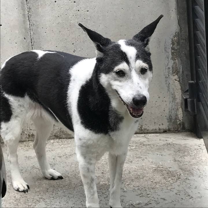 5961477e d567 43be b191 44d750792483