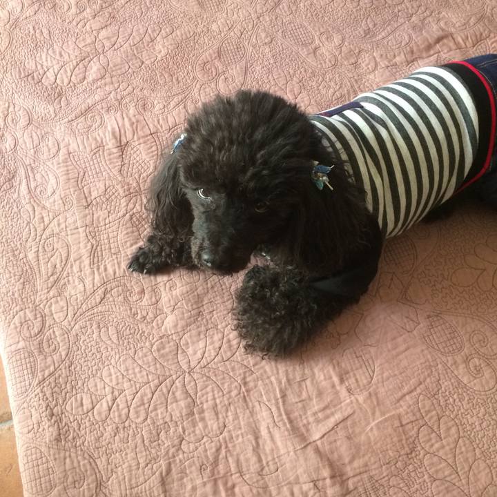 59619ca4 a339 4221 a78b 6d94585d118b