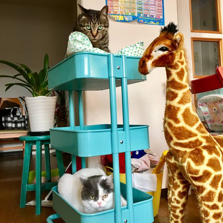 5961e04d d1cd 499b a55d 64097e47d63d