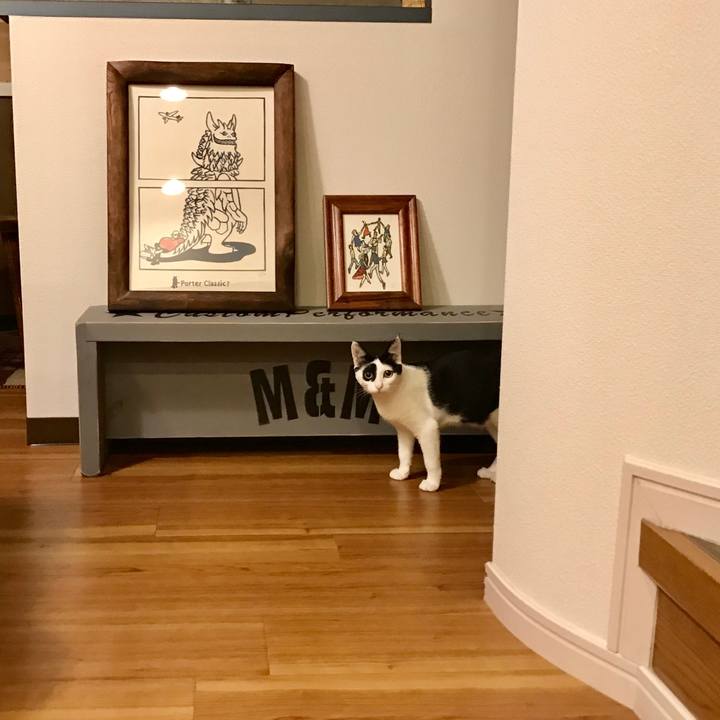 59621254 d976 4880 ac66 9aebd5a76215