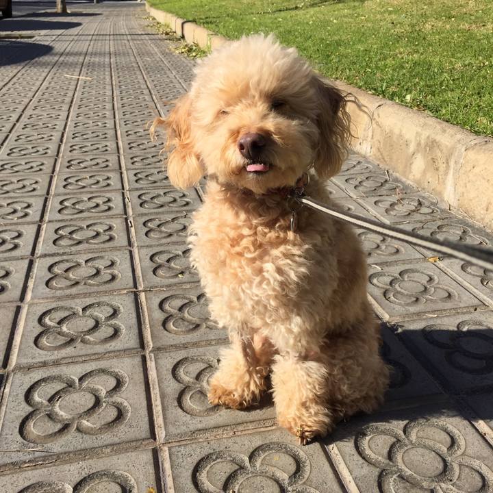 5962b61b b931 423d af03 e35806144131