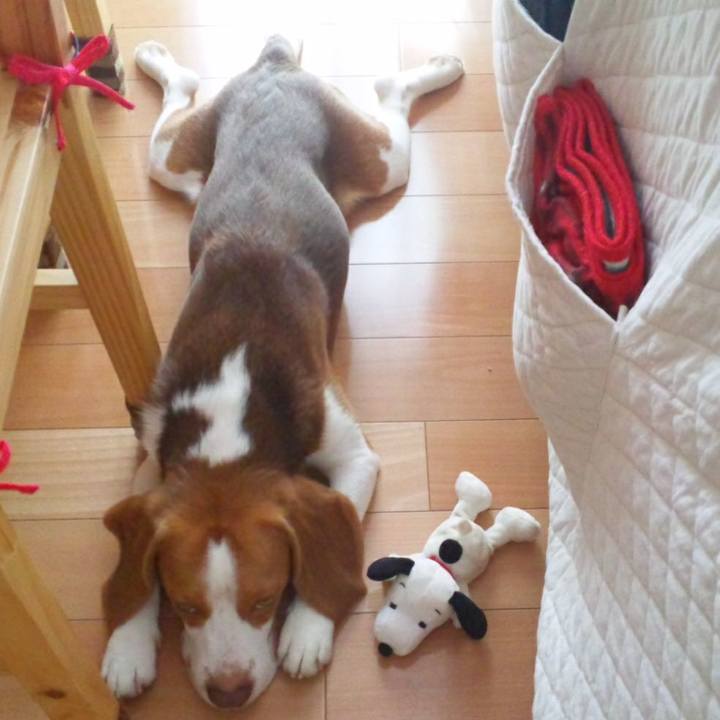 59630510 d166 4064 aeb1 0be3ee7bbace