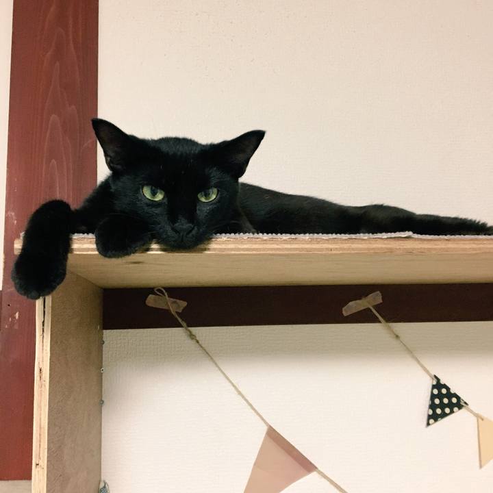 5963122a 459f 4b42 9cd0 79c8fb07930b