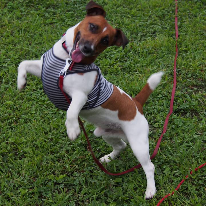 59636afc 3b09 4c37 9dda 9682ad332505