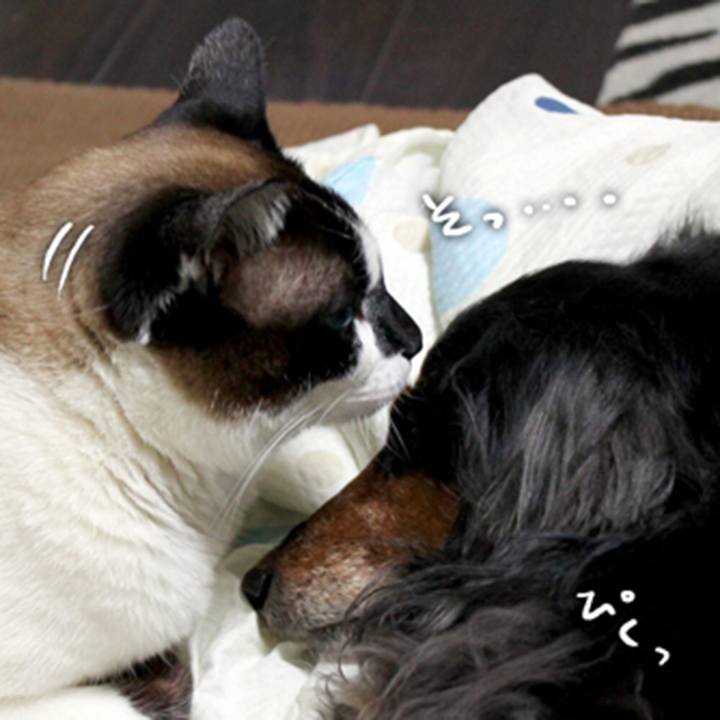 5963b539 803d 409b b3dc 326a092f798a