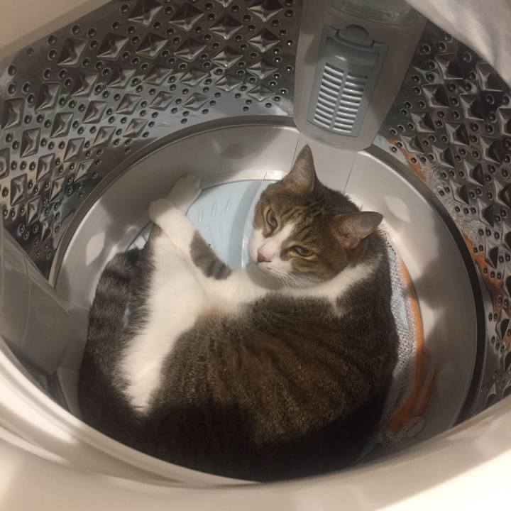 59642bc8 7baa 4fb3 bc36 ca8ecbf40472