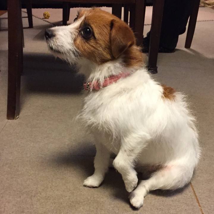 59644fc4 c94f 4c3c ab45 56eb6f3e2f47