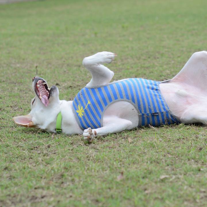 5964cad6 306a 4c31 aa80 ee2ba36a3cb1