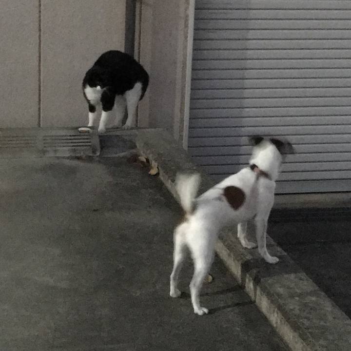 59654f9d f7ab 4f2d a0e3 4da93daaf854