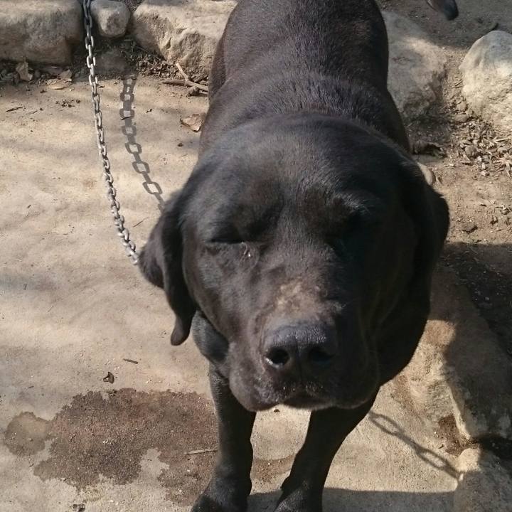 5965a301 5a29 455c a8c3 14ffaaeeaae1