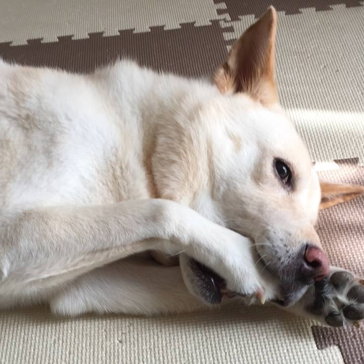 5965db6a 34ac 481f a8ff 6f2307f2c236