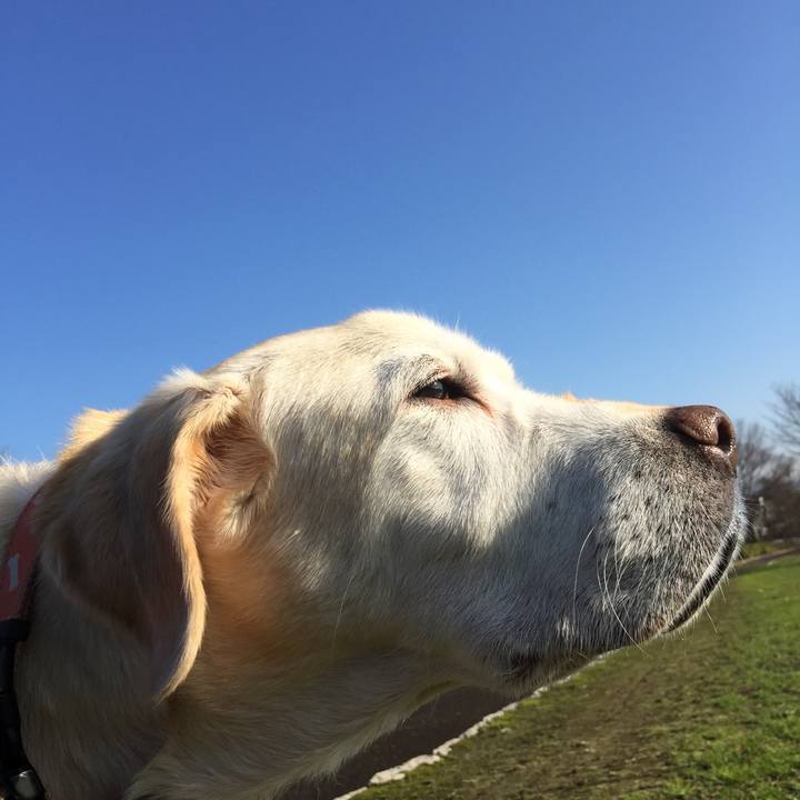 596604bd 9eba 41e5 98bd 2662fbbbe75b