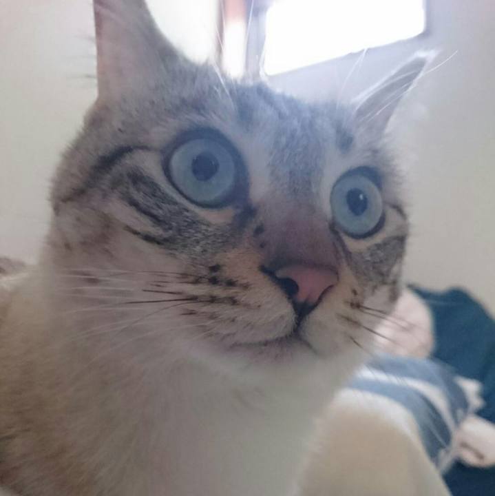 596614ad b64a 4db9 924c a22dbfdaf06c