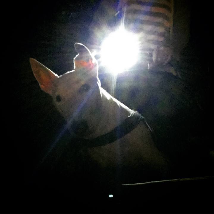 5966a57d 0076 428d b59f 3a793d8bf767