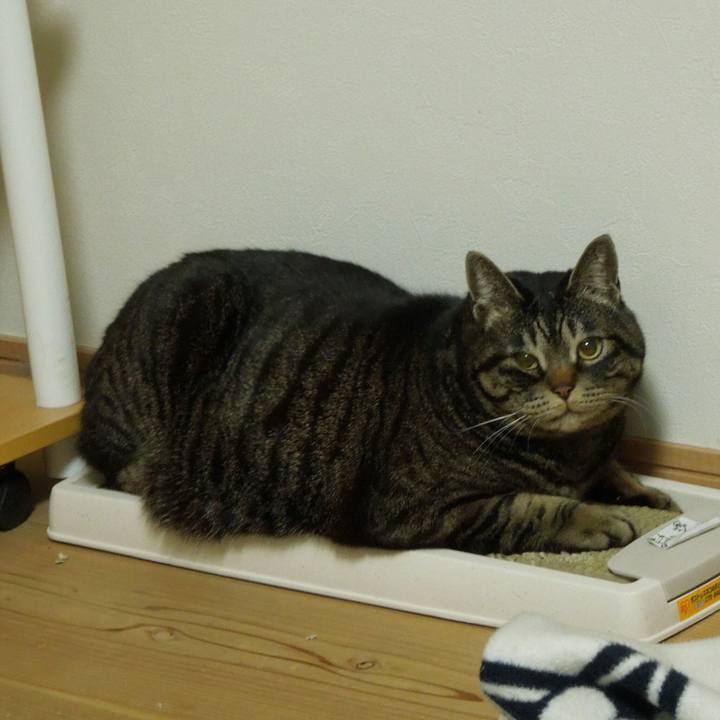 5967a4a4 0a43 48b5 a4f4 a0ee9ea41ec6