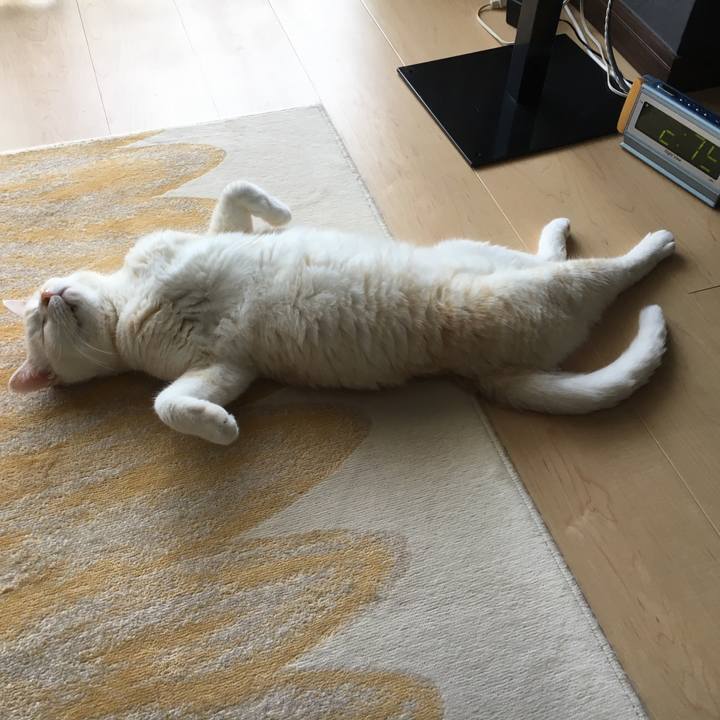 5967bf3d 422c 453d a1db 38298823b350