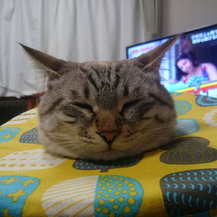 5967d6b4 d611 488f b6c7 9cdc865a7835