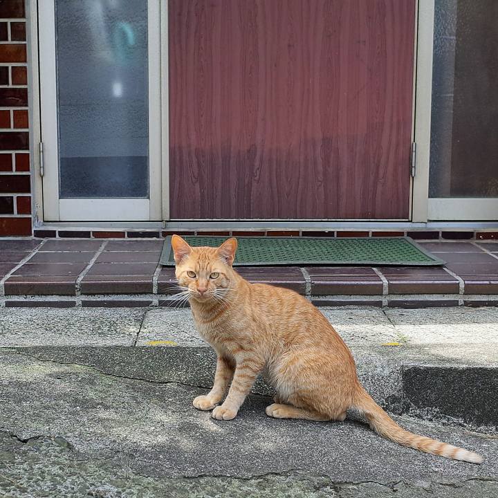 596839db c975 49a0 a655 43d3437cb071