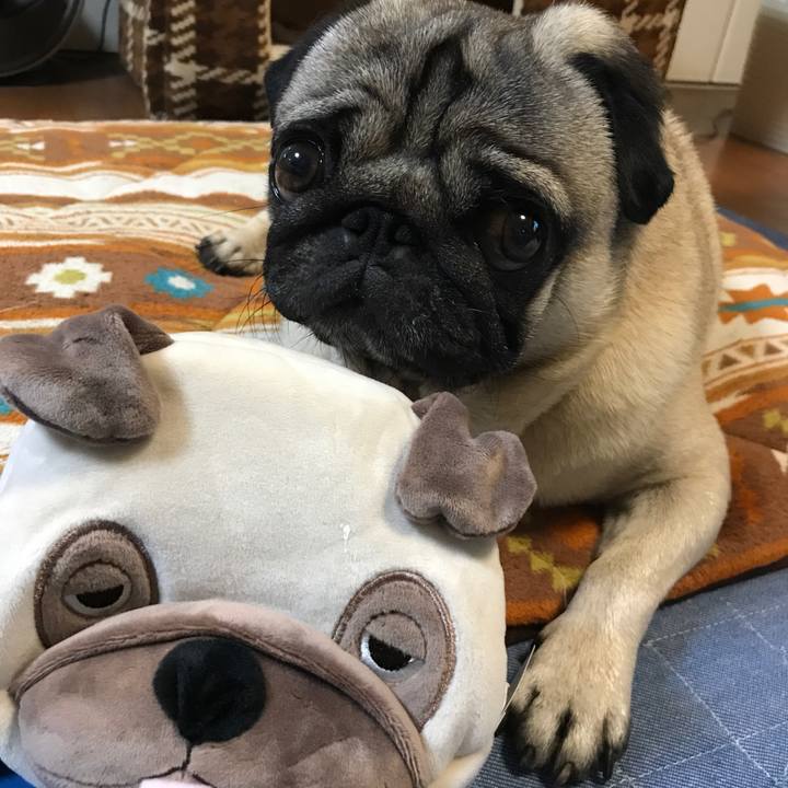 59686dbe 1945 4558 ad50 af0b6d28de6b