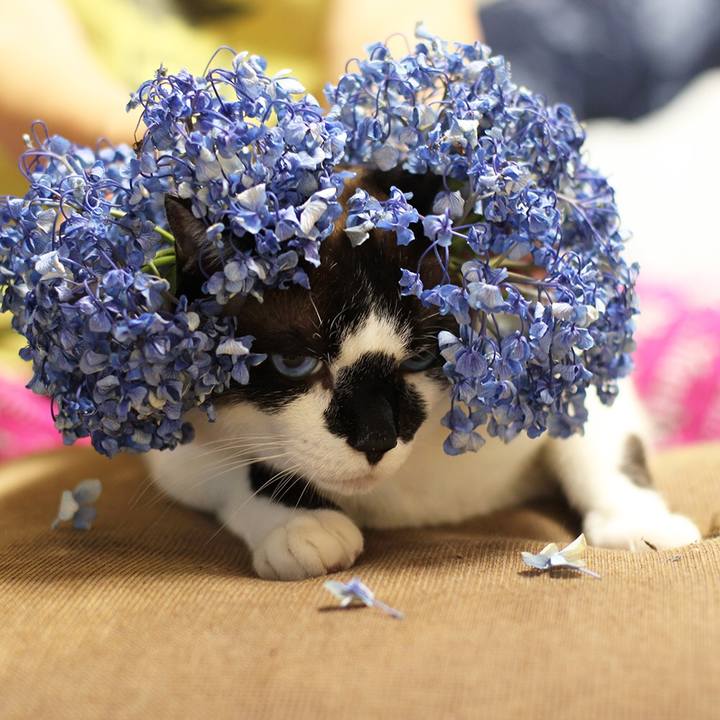 59692a12 9a77 4732 ac16 d77dc9f80bae